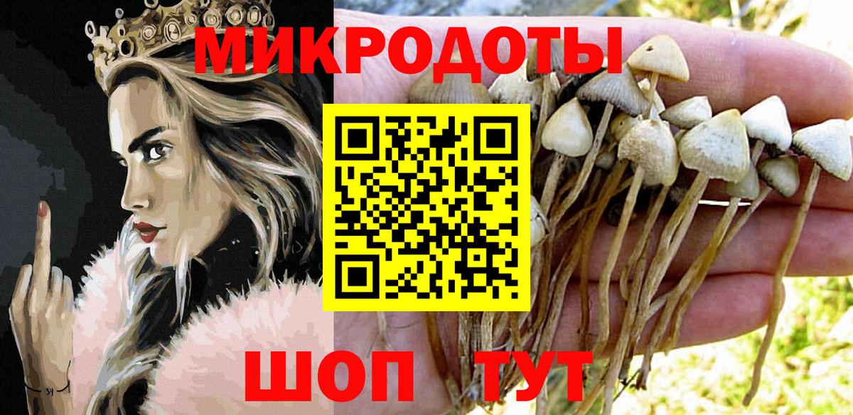 Ярославль  хочу   Вход с VPN  Галлюциногенные грибы мицелий 