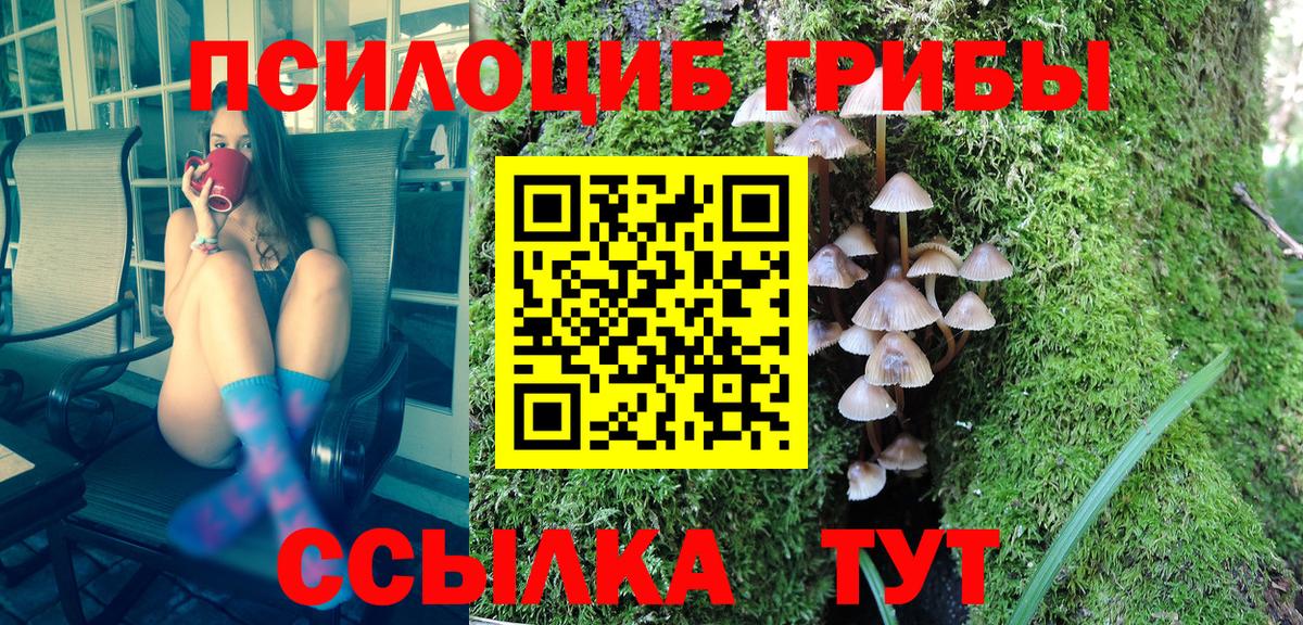 Галлюциногенные грибы GOLDEN TEACHER Ярославль
